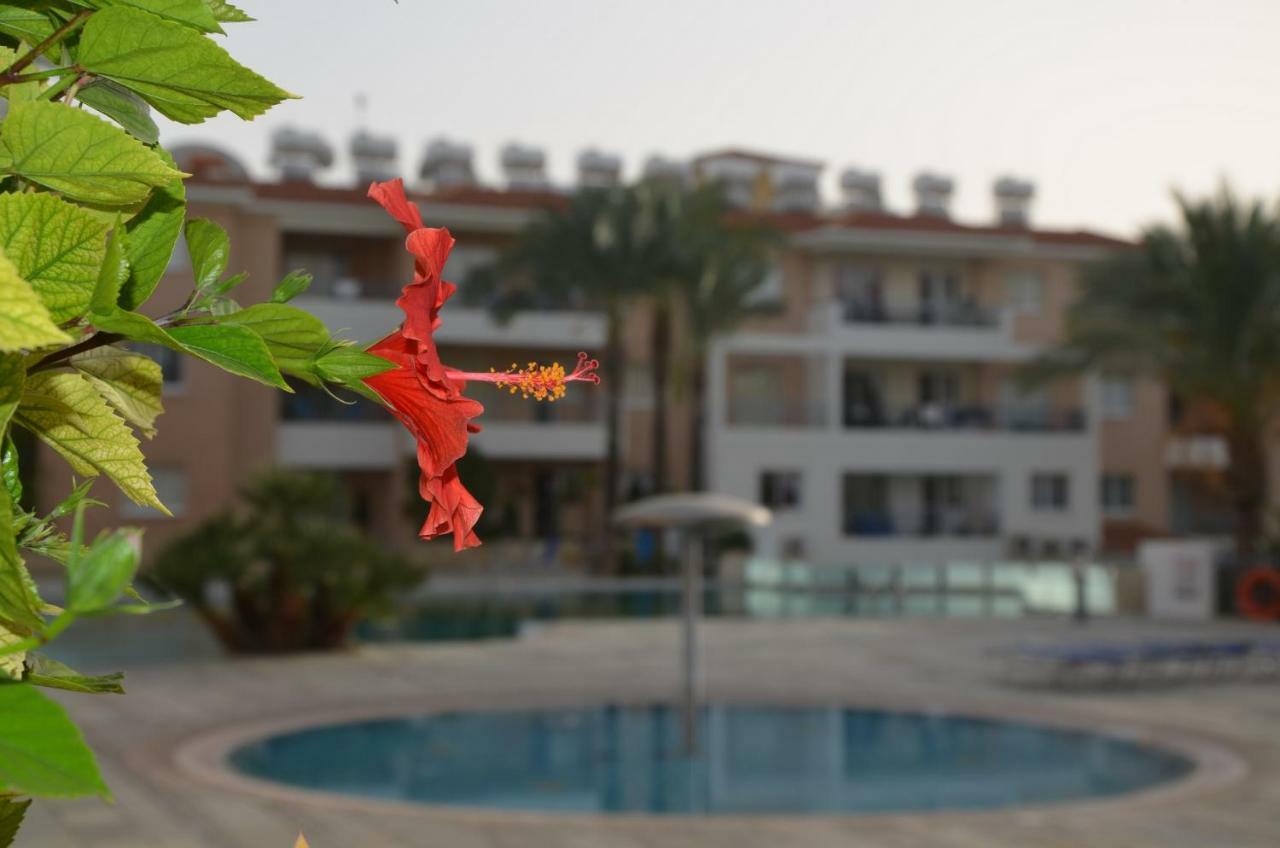 Iris Village Pafos Exterior foto
